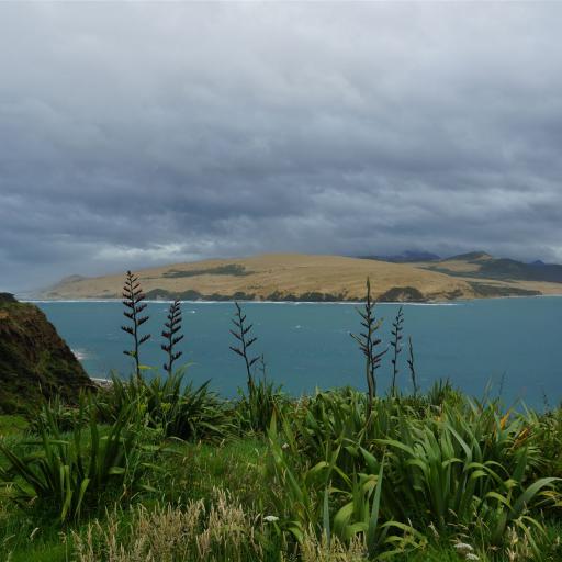 2012/13 Neuseeland
